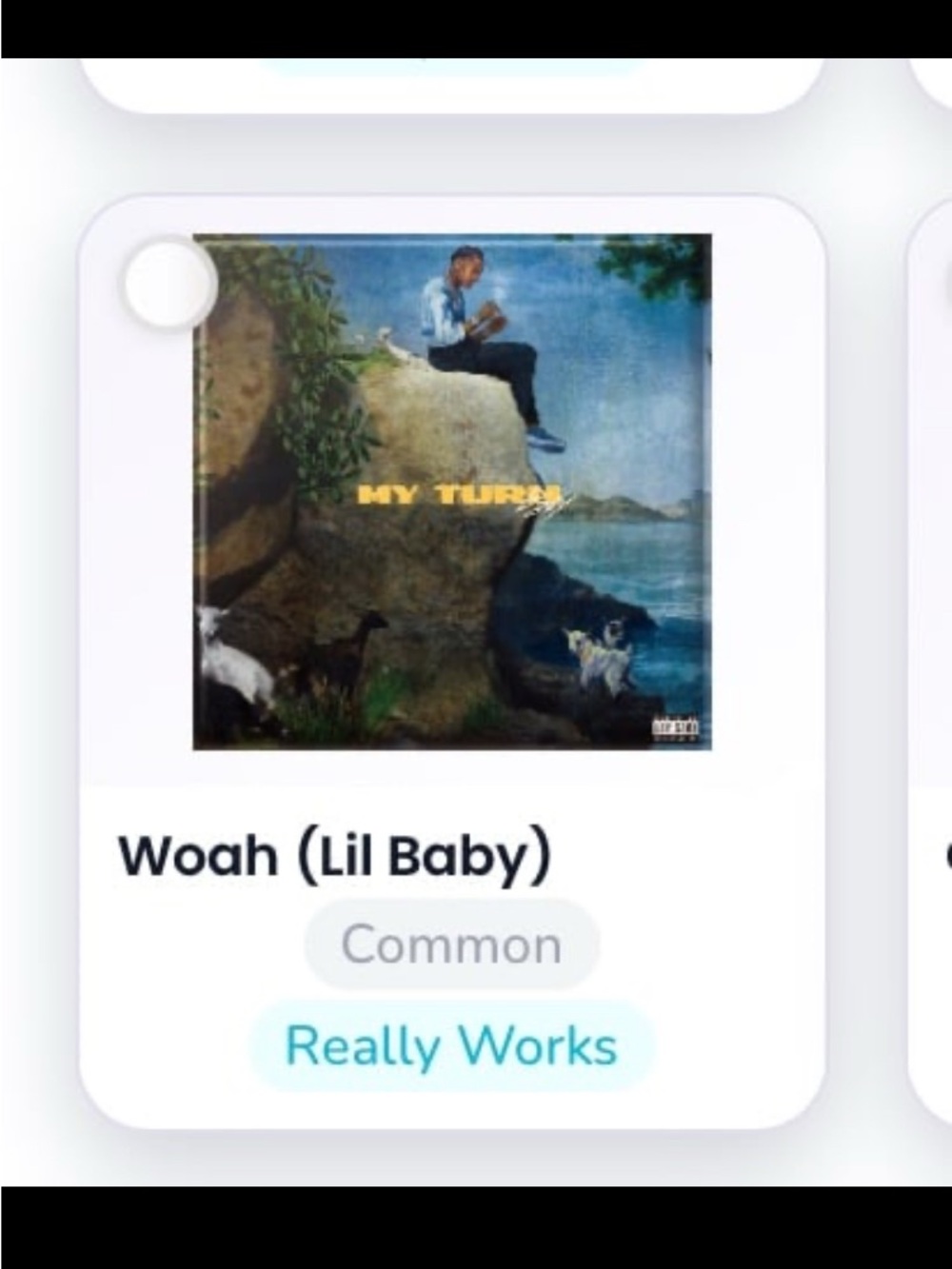 Mini Brands Vinyl Really Works